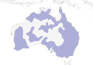 Distribution of the Scientific Name: Daphoenositta chrysoptera - Range Map