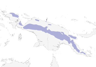 Distribution of the Spotted Jewel-babbler - Range Map