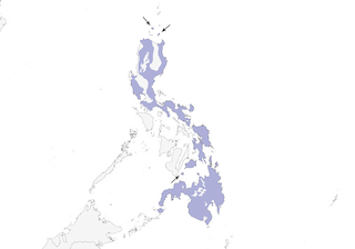 Distribution of the Yellow-bellied Whistler - Range Map