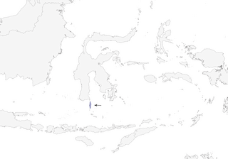 Distribution of the Selayar Whistler - Range Map