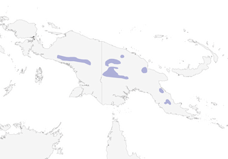 Distribution of the Golden-backed Whistler - Range Map