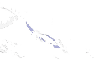 Distribution of the North Melanesian Cuckooshrike - Range Map