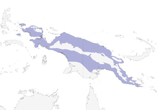 Distribution of the Lowland Peltops - Range Map
