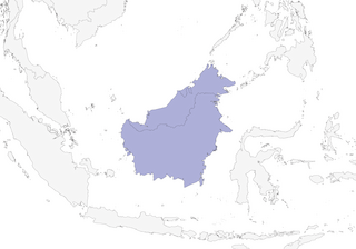 Distribution of the Bornean Bristlehead - Range Map