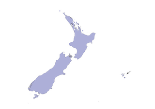 Distribution of the New Zealand Fantail - Range Map