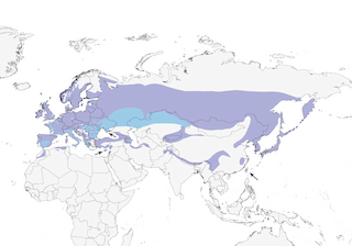 Distribution of the Coal Tit - Range Map