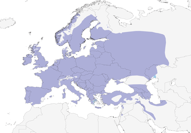 Map of blue tit and great tit nests from Bielany Forest in 2018