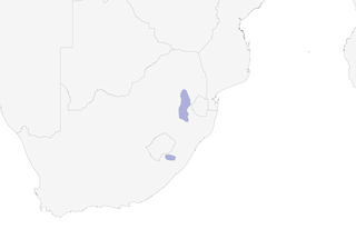 Distribution of the Rudd's Lark - Range Map