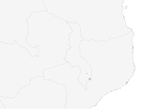Distribution of the Bar-throated Apalis (Yellow-throated) - Range Map