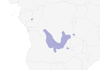 Distribution of the Dambo Cisticola - Range Map