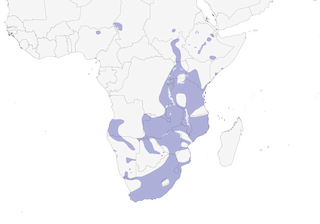 Distribution of the Lesser Swamp Warbler - Range Map
