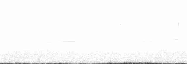 Пестрогрудая овсянка [группа schistacea] - ML169729981