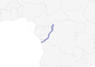 Distribution of the Congo Martin - Range Map