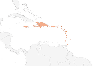 Breeding distribution of the Caribbean Martin. - Range Map