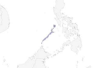 Distribution of the Gray-throated Bulbul - Range Map