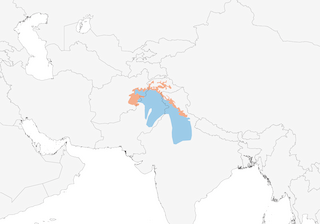 Distribution of the Brooks's Leaf Warbler - Range Map