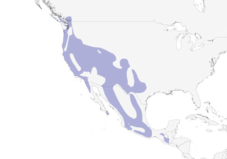 Distribution of the Bushtit - Range Map