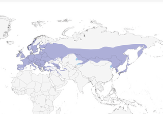 Distribution of the Long-tailed Tit - Range Map