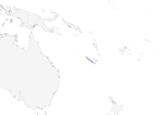 Distribution of the Green-backed White-eye - Range Map