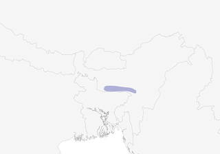 Distribution of the Tawny-breasted Wren-Babbler - Range Map