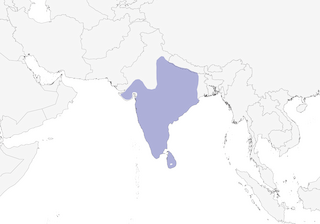 Distribution of the Tawny-bellied Babbler - Range Map