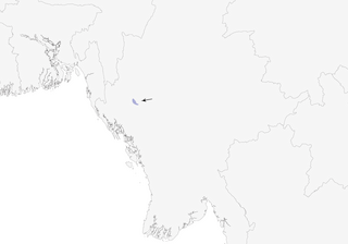 Distribution of the White-browed Nuthatch - Range Map