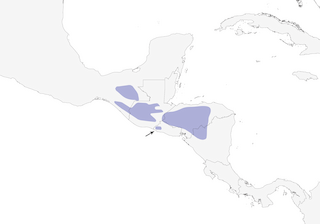 Distribution of the Rufous-browed Wren - Range Map