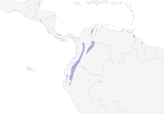 Distribution of the Rufous Wren - Range Map
