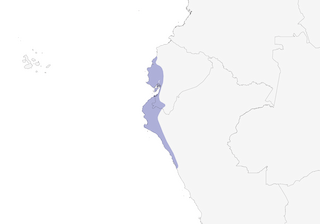 Distribution of the Superciliated Wren - Range Map