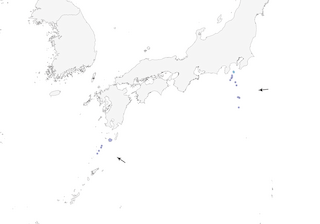 Distribution of the Izu Thrush - Range Map