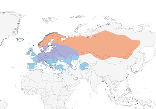 Distribution of the Fieldfare - Range Map
