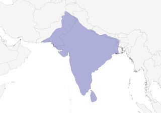 Distribution of the Indian Robin - Range Map