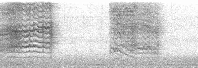 Пересмішник сірий - ML169754