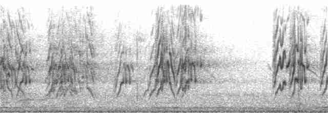 mníšek šedý (ssp. luchsi) - ML169756381