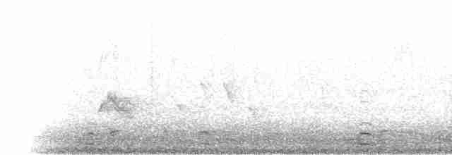 Evening Grosbeak (type 3) - ML169769