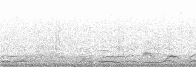 Cisne Chico (neártico) - ML169773