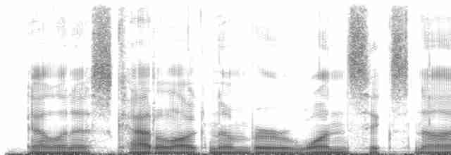 Cygne siffleur (columbianus) - ML169774