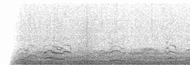 Cygne siffleur (columbianus) - ML169775