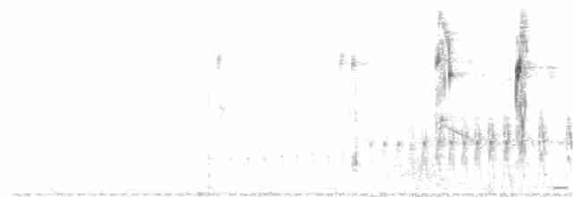 stripekronestifthale - ML169780381
