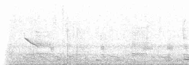Свертушка чорновола (підвид torquatus) - ML169781681