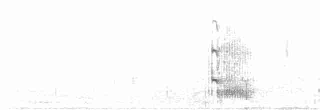 caatingaspett (melanolaimus gr.) (pampasspett) - ML169782471