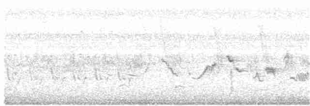 Gray-crowned Yellowthroat - ML169794471