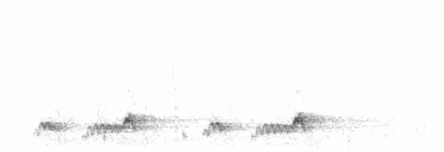 Mexikonachtschwalbe - ML169819891