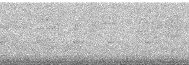Дивоптах строкатий - ML169820
