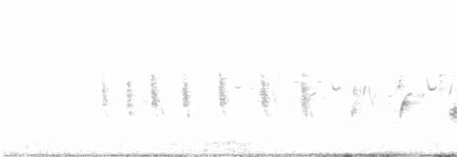 גיבתונית רוננת - ML169826511