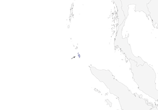 Distribution of the Nicobar Jungle-Flycatcher - Range Map
