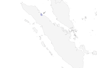 Distribution of the Rück's Blue Flycatcher - Range Map