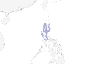 Distribution of the Blue-breasted Flycatcher - Range Map