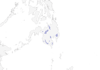 Distribution of the Mindanao Jungle-Flycatcher - Range Map
