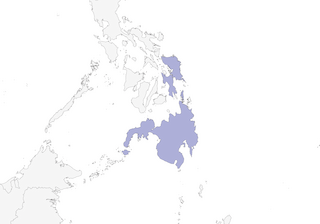 Distribution of the Little Slaty Flycatcher - Range Map